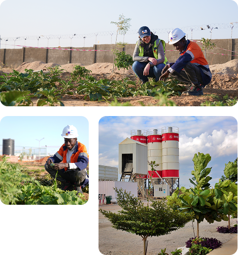 Mota-Engil environmental protection and reforestation initiatives.